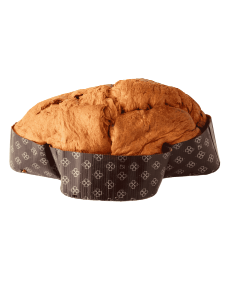 Colomba alle castagna Riserva 24