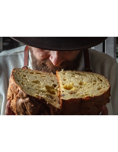 Colomba alle castagna Riserva 24