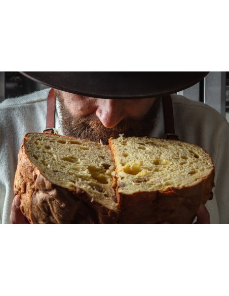 Colomba alle castagna Riserva 24